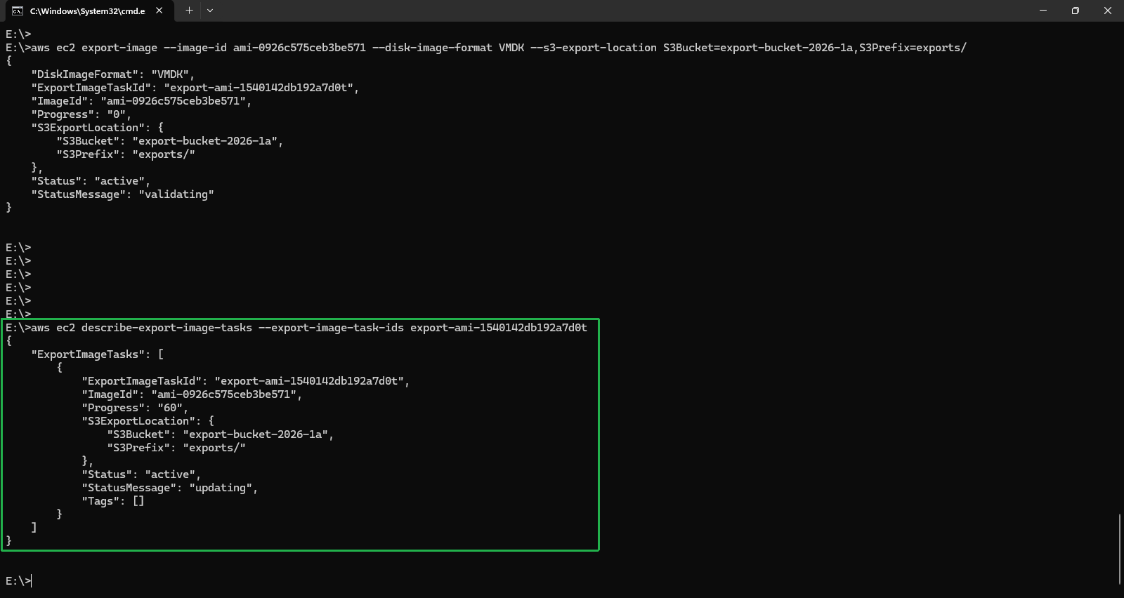 AWS CLI Export Image