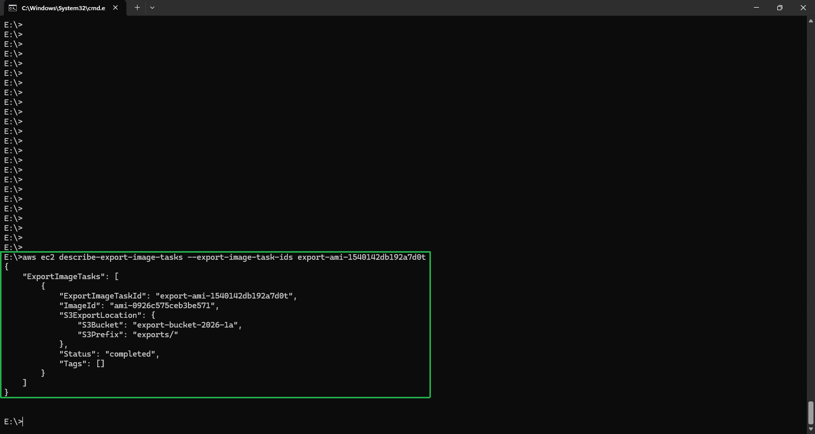 AWS CLI Export Image